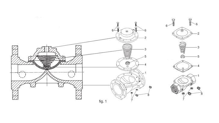 Maxomatic Mainvalve Carraro 1024 16X9