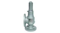 169 CS 30 31 Sikkerhedsventil