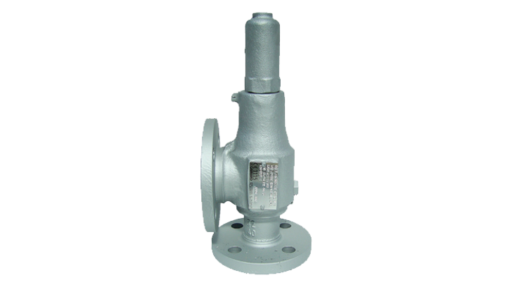 169 CS 30 31 Sikkerhedsventil